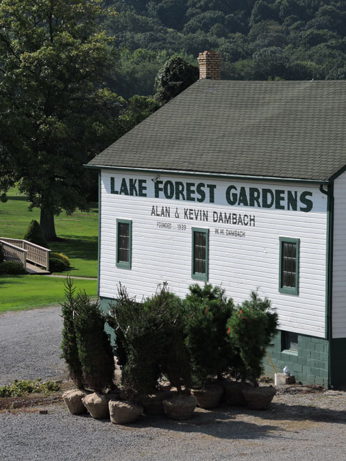 About – Lake Forest Gardens